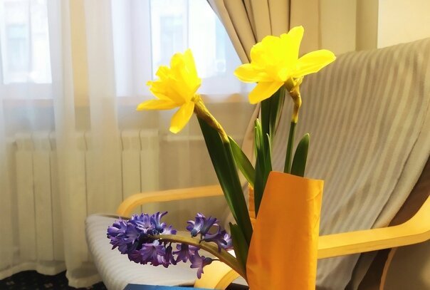 Гостиница Александр Санкт-Петербург-182